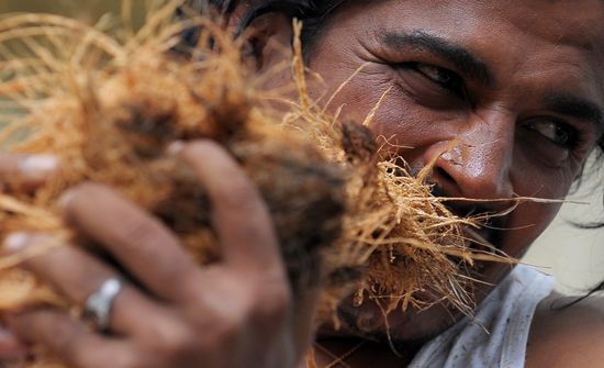 KumarDibyangshuSarkarGettyImages