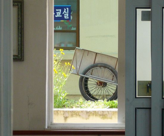 Hongnong-south-korea-3pm