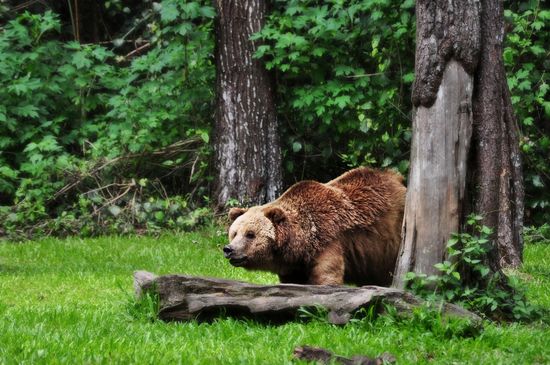 4253043878_16968ac1c1_b