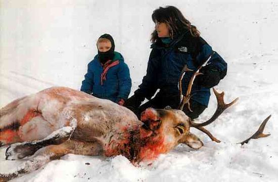 Palin and the caribou