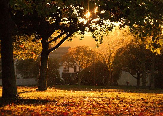 459662508_e094607671_b