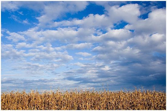 265636257_78d07e7647_o