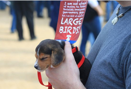 Enhanced-buzz-3286-1288474223-7