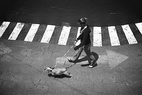 2997926081_bd3f4e92bb_b