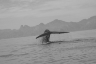 Screen shot 2010-11-09 at 12.04.35 PM