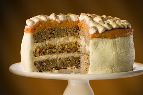 Thanksgiving-meal-cake-10705-1289237882-11