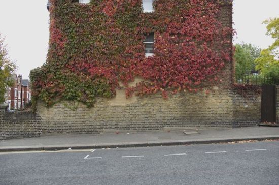 HarpendenRoad_640x424