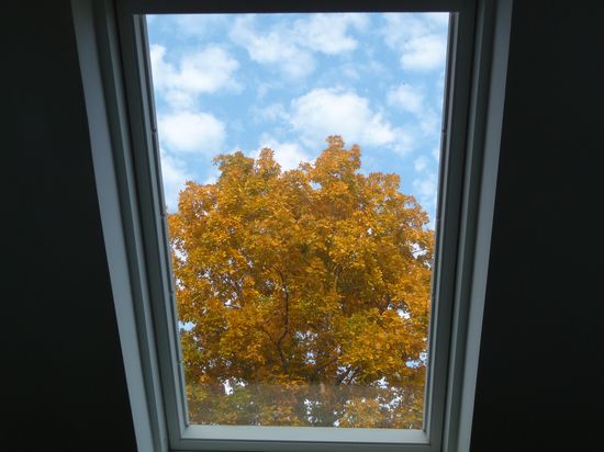 Zionsville-IN-1130am