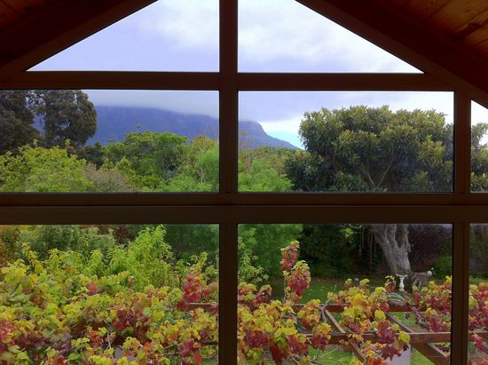 6a00d83451c45669e2013488fd5a7c970c-550wi