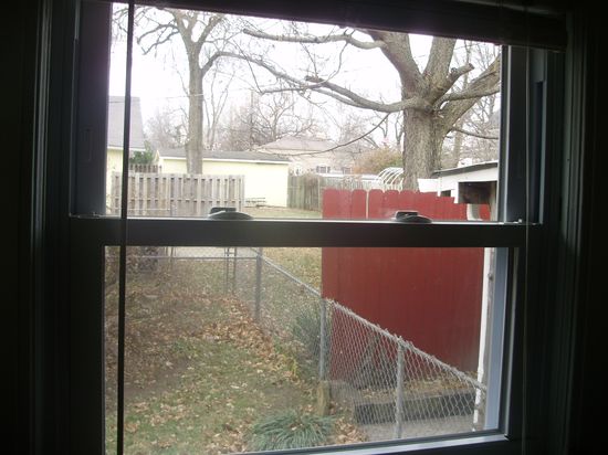 Harrisonville-MO-1245pm