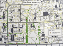 Screen shot 2010-12-07 at 11.45.09 AM