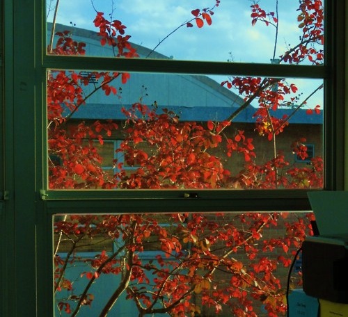 New-Braunfels-TX-424pm