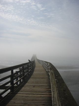 6423235_c04495719e_b