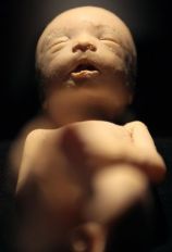 19FETUSLeonNeal:Getty