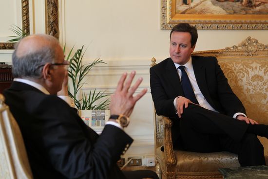 CAMERONEGYPTKhaledDesouki:AFP:Getty