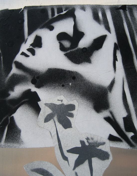 505209597_7e756cebf2_b