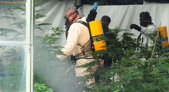 AP110314058253 AP110314058253