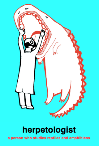 Wordswithoutwords3-thumb-500x573-45210