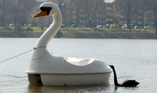 BLACKSWANMichaelGottschalk:Getty