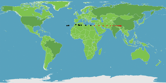EconomicCenterGravity EconomicCenterGravity