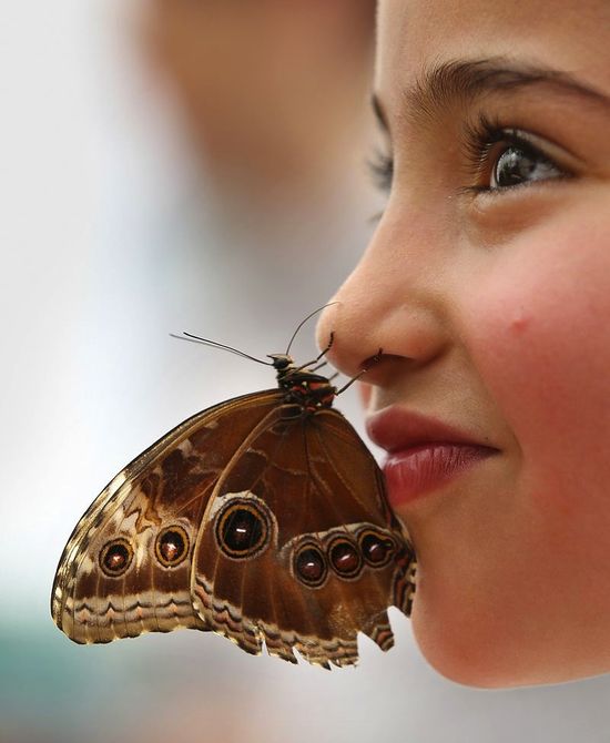 GT_BUTTERFLY_GIRL_040611 GT_BUTTERFLY_GIRL_040611