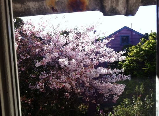 San Francisco-CA-543pm