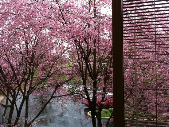 Valley Forge-PA-130pm