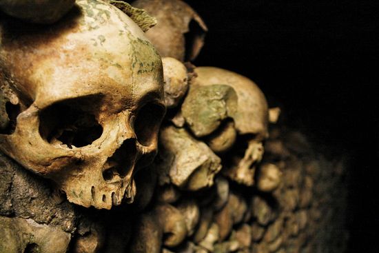 5144227794_044ac92508_b 5144227794_044ac92508_b