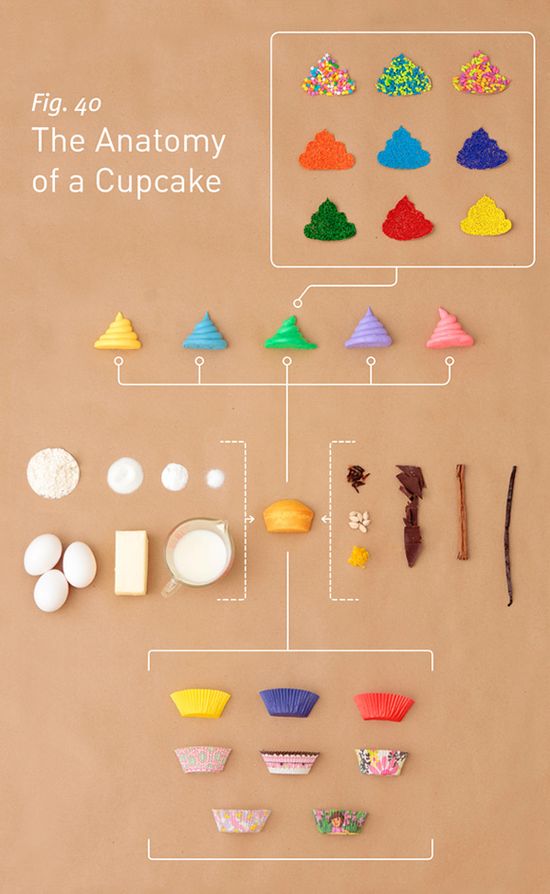 The-Anatomy-of-a-Cupcake