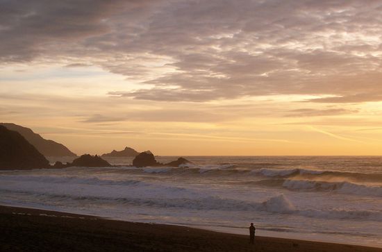 93512213_f93e41abbf_b