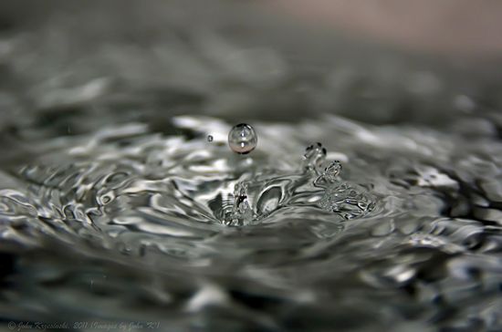 5528593758_cc05248691_b