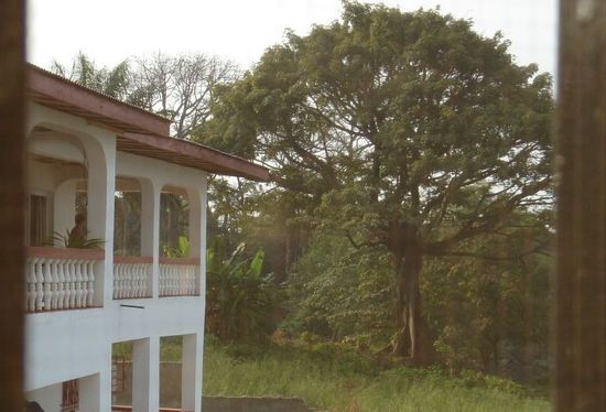 6a00d83451c45669e20147e3d26f71970b-800wi