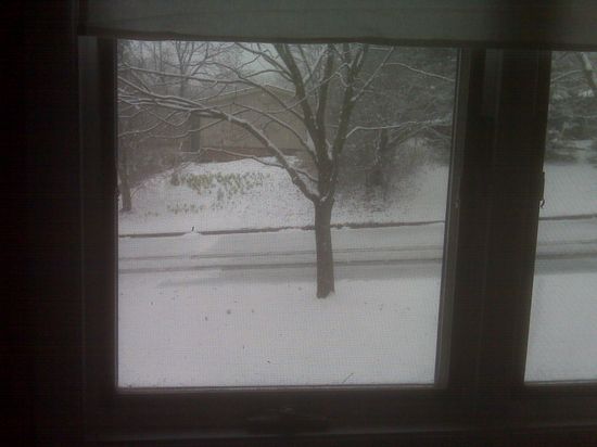 _Media Card_BlackBerry_pictures_IMG00425