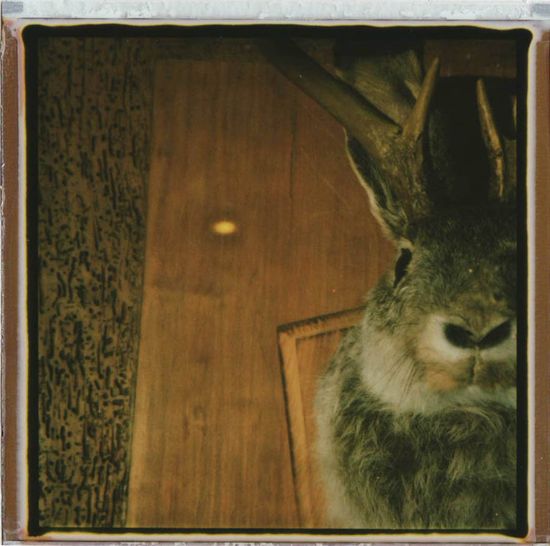 2578718821_6c26ab86a0_o