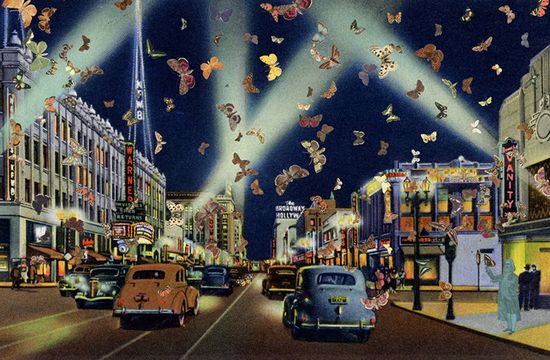 Butterfly_Man_LA Butterfly_Man_LA