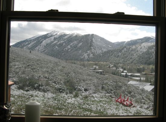 Triumph-ID-806am Triumph-ID-806am