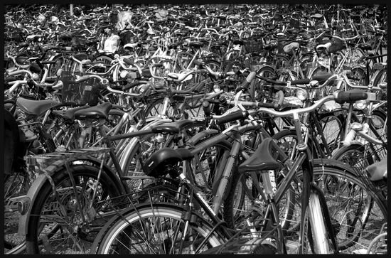 2624646303_941de31b43_b