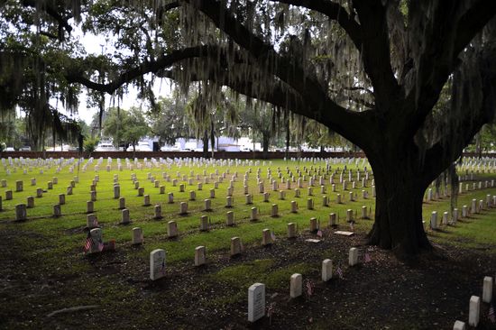 GT_CEMETERY_110530 GT_CEMETERY_110530