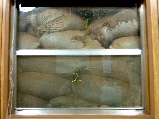 Green Zone-Baghdad-12pm Green Zone-Baghdad-12pm