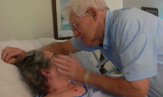 442372023_67a0e78230_o