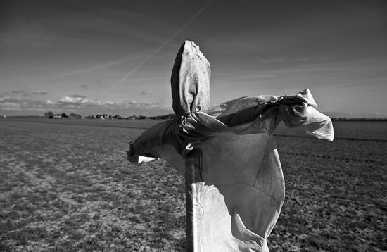 4505641593_1edb95d134_b 4505641593_1edb95d134_b