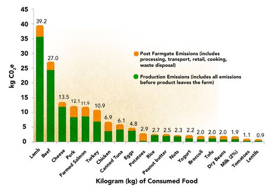 Proteins_emissions
