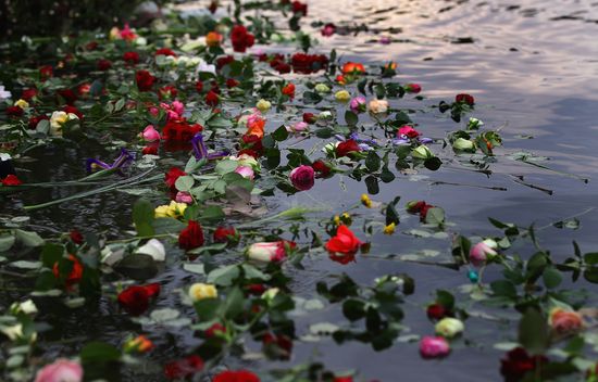 GT_ROSESWATER_110728