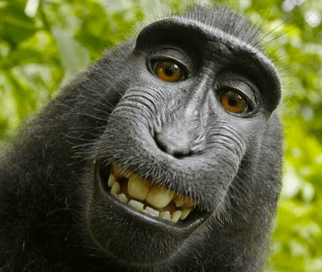 Screen shot 2011-07-08 at 7.57.06 PM