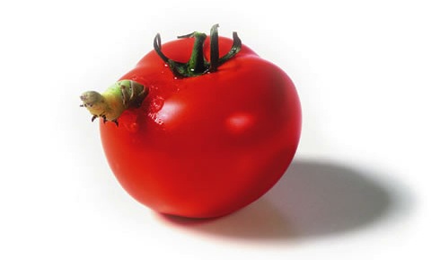 Enhanced-buzz-25550-1311769883-2