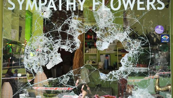 GT_SYMPATHY-FLOWERS_110811