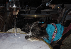 Screen shot 2011-09-02 at 4.46.14 PM