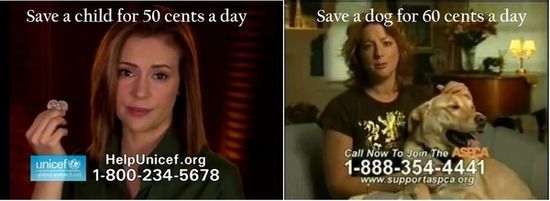 Animals-cost-more-than-people-30374-1311281228-4