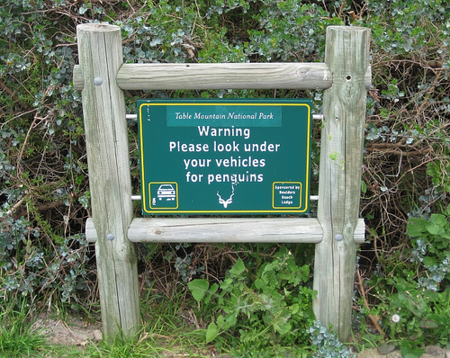 Screen shot 2011-09-27 at 2.02.07 AM