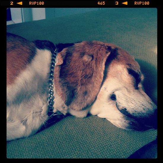 87ef2bd0a43e41718b9f6b934dedad33_7